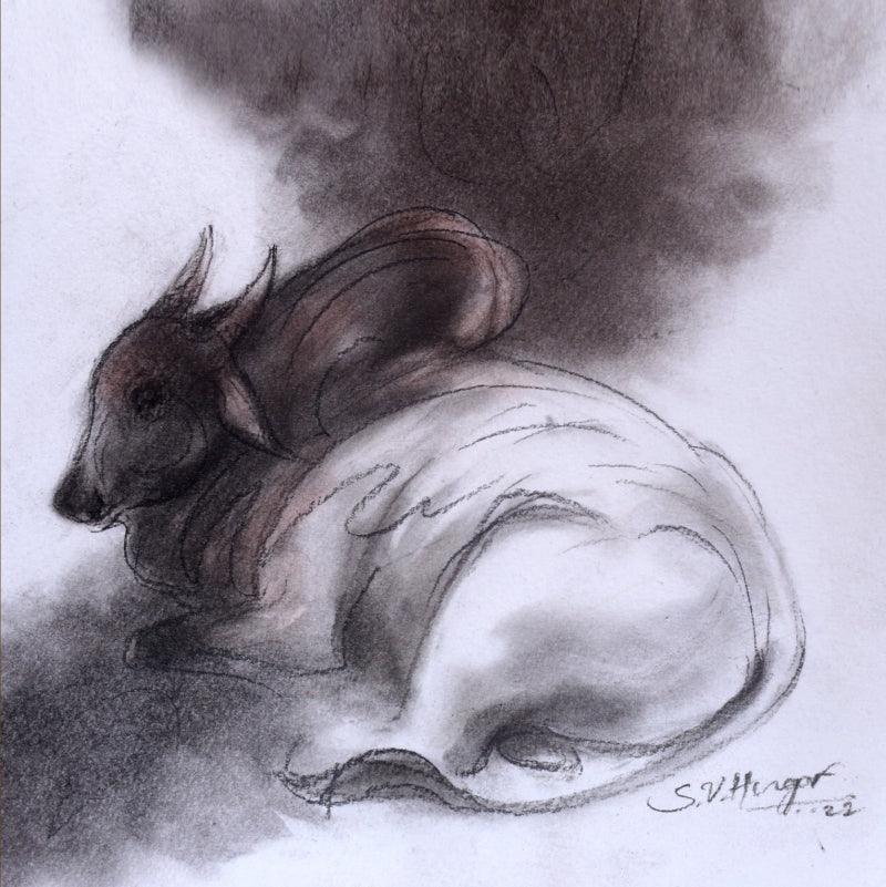 Animals charcoal drawing titled 'Bull 1', 8x8 inches, by artist Shivu Hugar on Paper