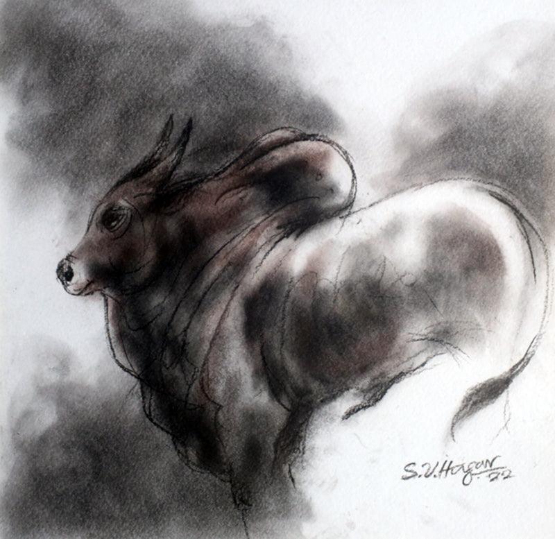 Animals charcoal drawing titled 'Bull 2', 8x8 inches, by artist Shivu Hugar on Paper