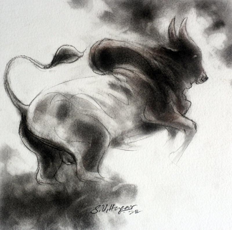 Animals charcoal drawing titled 'Bull 7', 8x8 inches, by artist Shivu Hugar on Paper