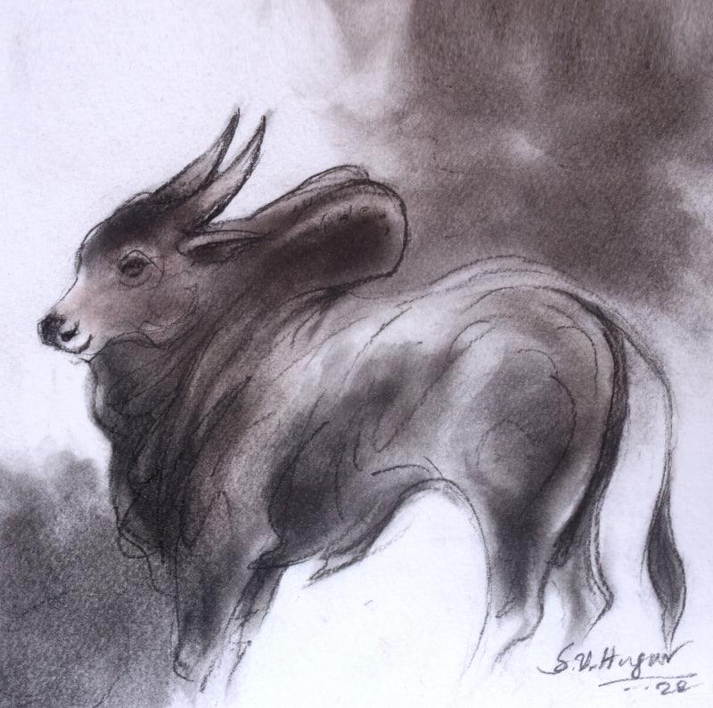 Animals charcoal drawing titled 'Bull 9', 8x8 inches, by artist Shivu Hugar on Paper