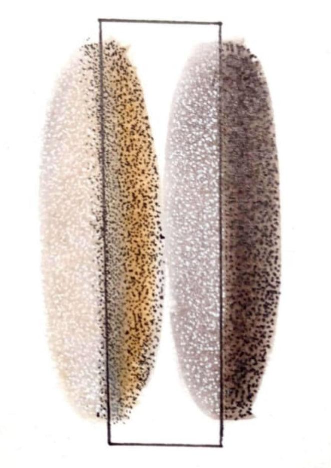 Abstract soft pastel drawing titled 'Connection', 8x6 inches, by artist Trapti Porwal on Canson Sheet