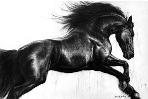 Animals charcoal painting titled 'Energy', 36x48 inches, by artist Anand Sai on Canvas