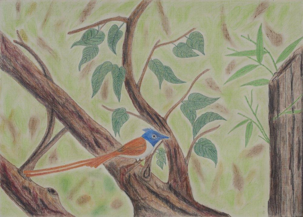Nature oil pastel artcontent titled 'Freedom', 20x14 inches, by artist Poonam KD on paper