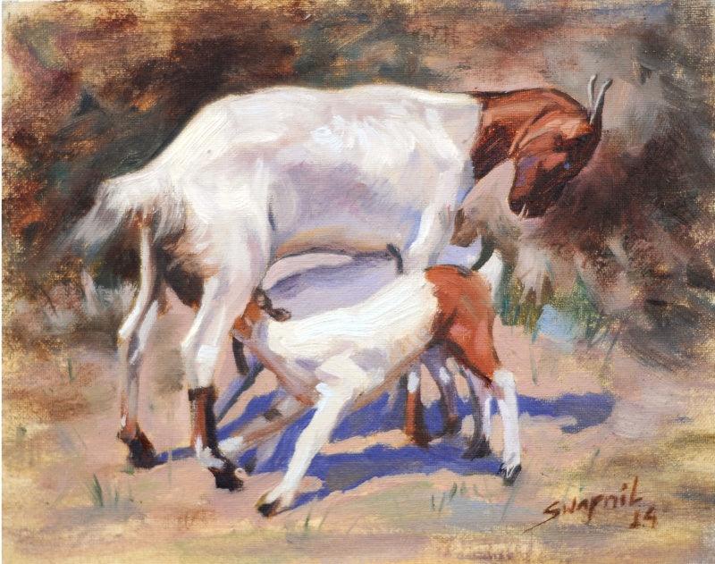 Animals oil painting titled 'Goat', 8x10 inches, by artist Swapnil Patil on Canvas