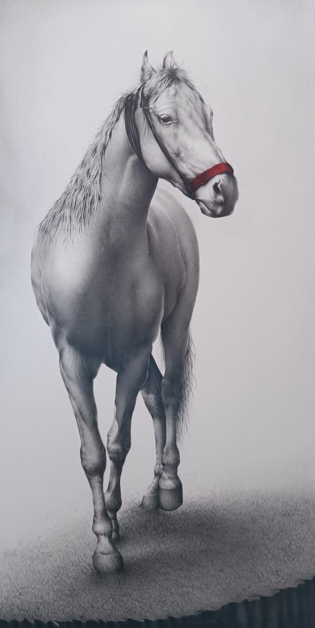 Animals charcoal painting titled 'Horse', 48x24 inches, by artist Yuvraj Patil on Canvas