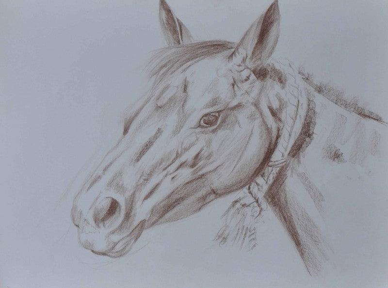 Animals dry pastel painting titled 'Horse', 15x20 inches, by artist Bhavesh Patel on Paper