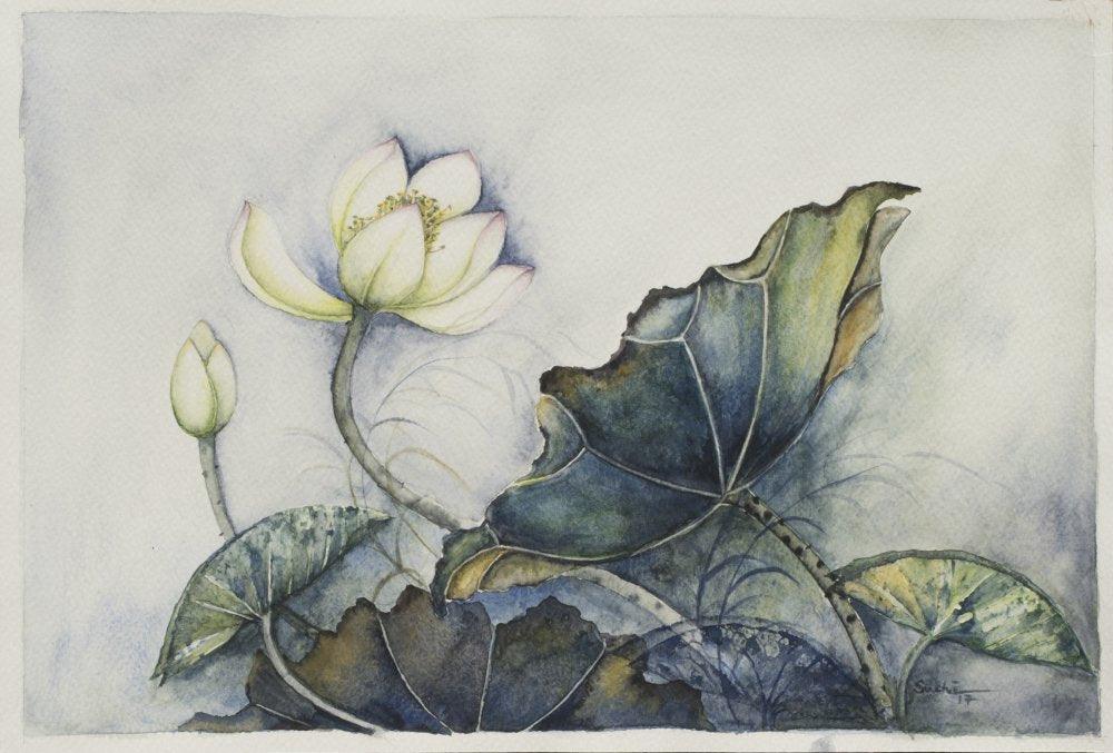 Nature watercolor artcontent titled 'Lotus', 11x9 inches, by artist Sucheta Misra on paper