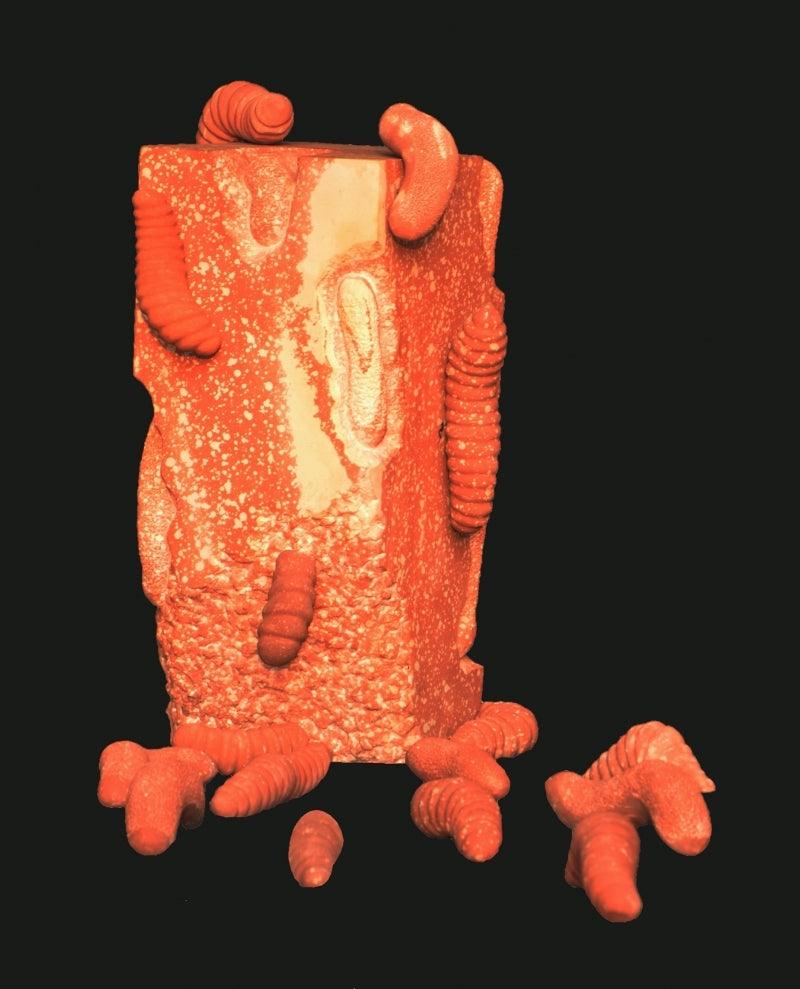 Nature sculpture titled 'Nature 3', 36x25x13 inches, by artist Rajnish Verma on Sand Stone