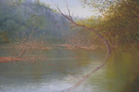 Landscape oil painting titled 'Nature Reflection I', 20x30 inches, by artist Fareed Ahmed on Canvas