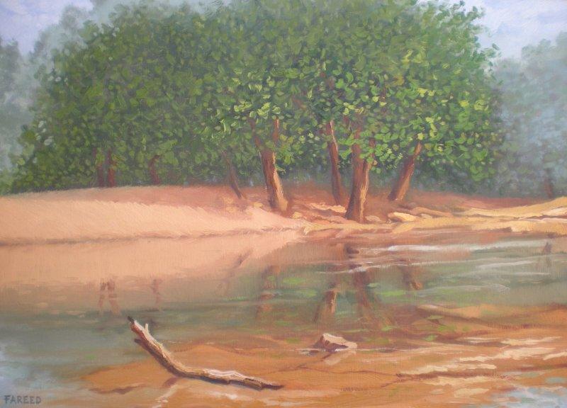 Landscape oil painting titled 'Riverside', 22x16 inches, by artist Fareed Ahmed on Canvas Board