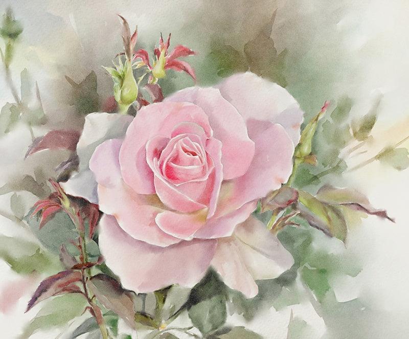 Other watercolor painting titled 'Rose', 10x8 inches, by artist Kaukab Ahmad on Paper