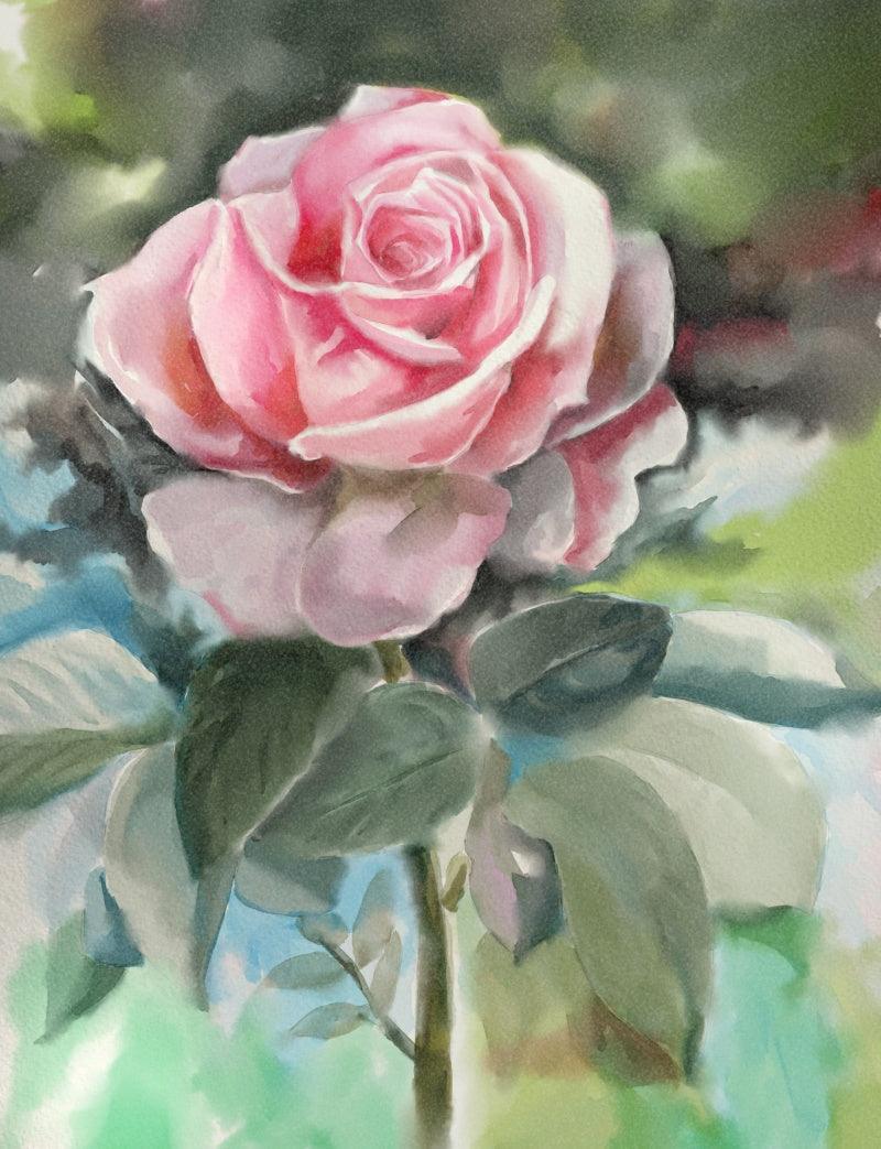 Other watercolor painting titled 'Rose', 10x8 inches, by artist Kaukab Ahmad on Paper