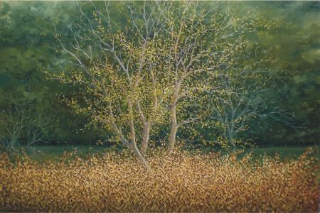 Landscape oil painting titled 'The Tree', 20x30 inches, by artist Fareed Ahmed on Canvas