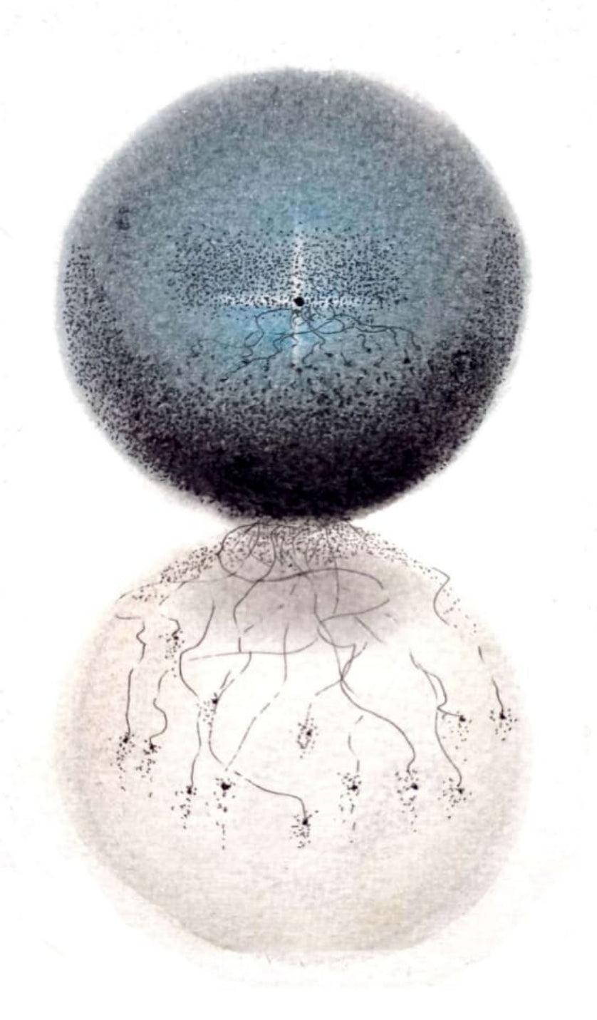 Abstract soft pastel drawing titled 'Untitled 1', 8x6 inches, by artist Trapti Porwal on Canson Sheet