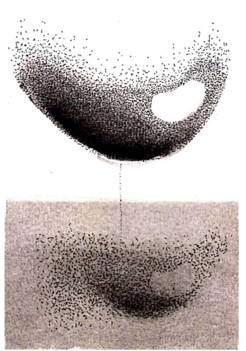 Abstract soft pastel drawing titled 'Untitled 12', 8x6 inches, by artist Trapti Porwal on Canson Sheet