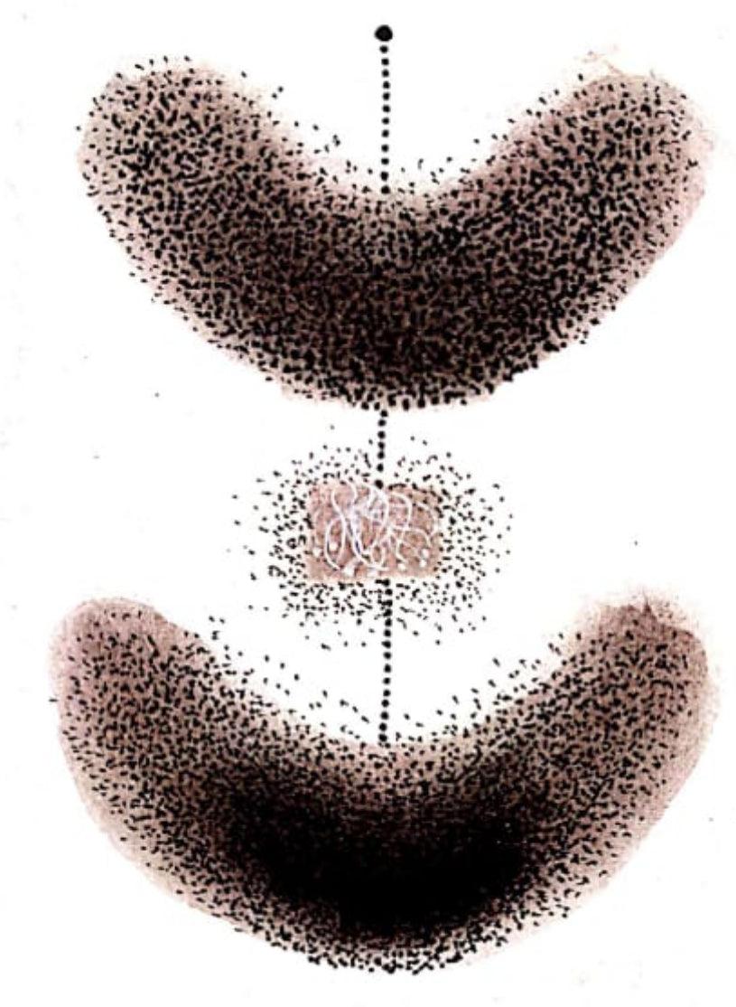 Abstract soft pastel drawing titled 'Untitled 13', 8x6 inches, by artist Trapti Porwal on Canson Sheet