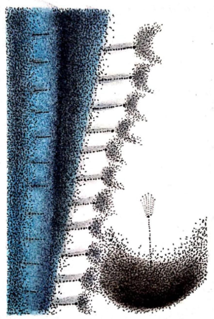 Abstract soft pastel drawing titled 'Untitled 15', 8x6 inches, by artist Trapti Porwal on Canson Sheet