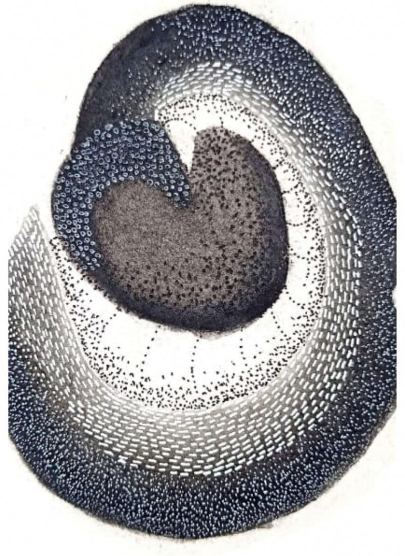 Abstract soft pastel drawing titled 'Untitled 17', 8x6 inches, by artist Trapti Porwal on Canson Sheet