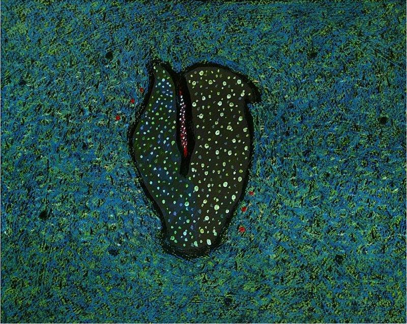 Erotic mixed media titled 'Untitled 19', 11x15 inches, by artist Sandeep Ghule on Paper