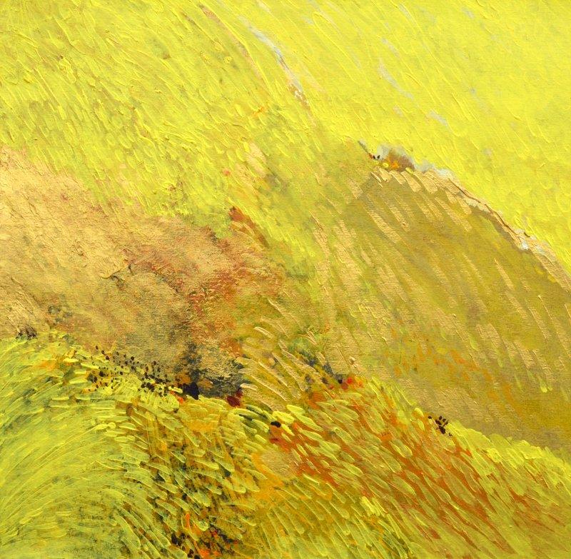 Abstract acrylic painting titled 'Untitled 2', 24x24 inches, by artist Durgesh Birthare on Canvas