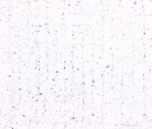 Untitled 20 (Arctic Frost) by Anil Tagad, Original Mixed Media Abstract Painting on Canvas, Small Horizontal Wall Art
