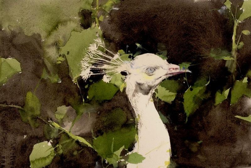 Animals watercolor painting titled 'Untitled 22', 14x21 inches, by artist Dilip Dudhane on Paper