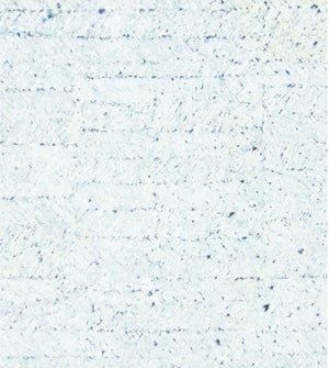 Abstract oil painting titled 'Untitled 49', 36x32 inches, by artist Anil Tagad on Canvas