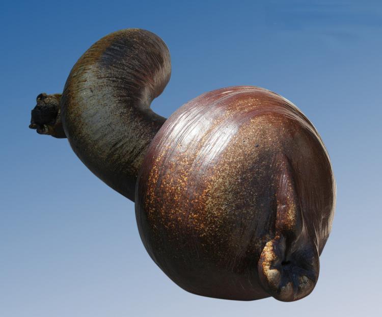 Abstract sculpture titled 'Untitled', 14x7x7 inches, by artist Neeraj Ahirwar on stoneware