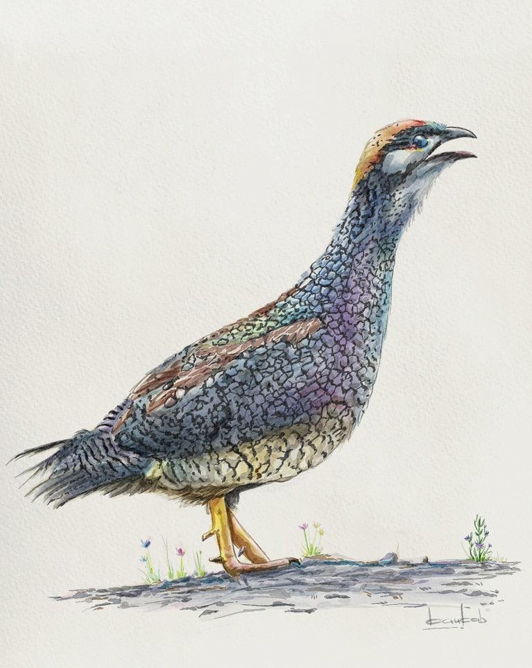 Other watercolor painting titled 'Untitled', 10x8 inches, by artist Kaukab Ahmad on Paper