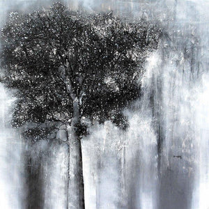 Landscape acrylic painting titled 'Untitled', 36x36 inches, by artist Bhaskar Rao on Canvas