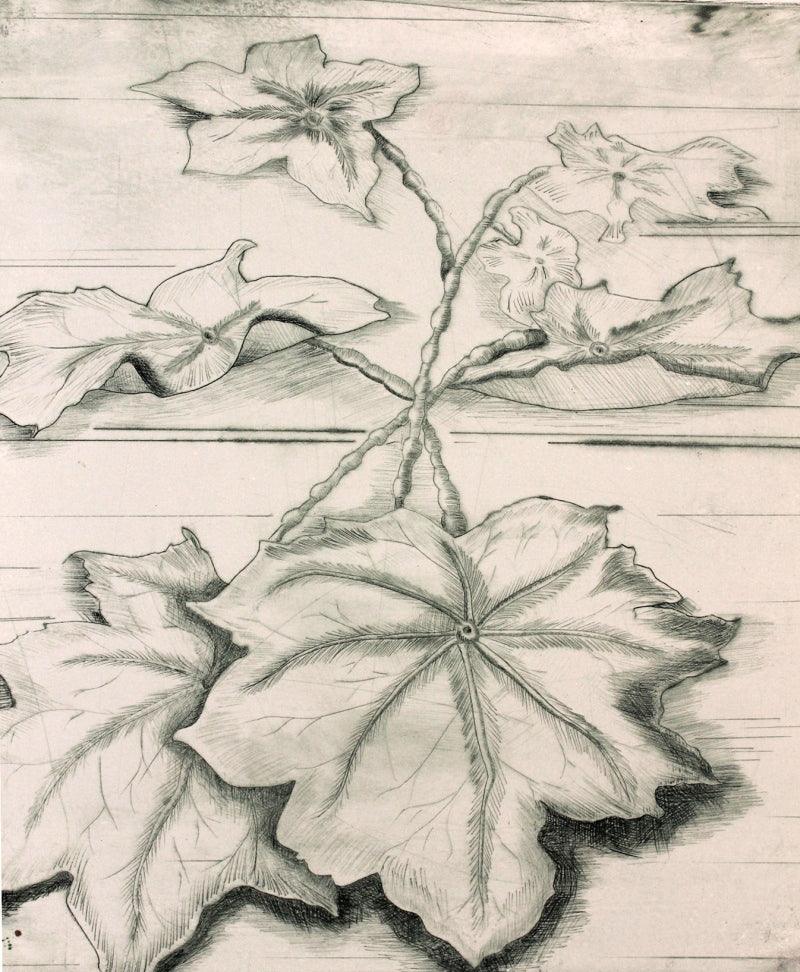 Nature printmaking titled 'Alive', 8x3 inches, by artist Kanchan Kapruwan on Paper