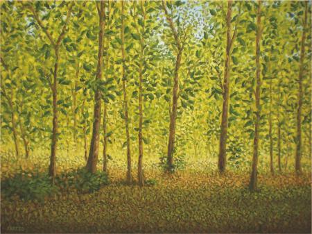 Landscape oil painting titled 'Between The Trees', 18x24 inches, by artist Fareed Ahmed on Canvas