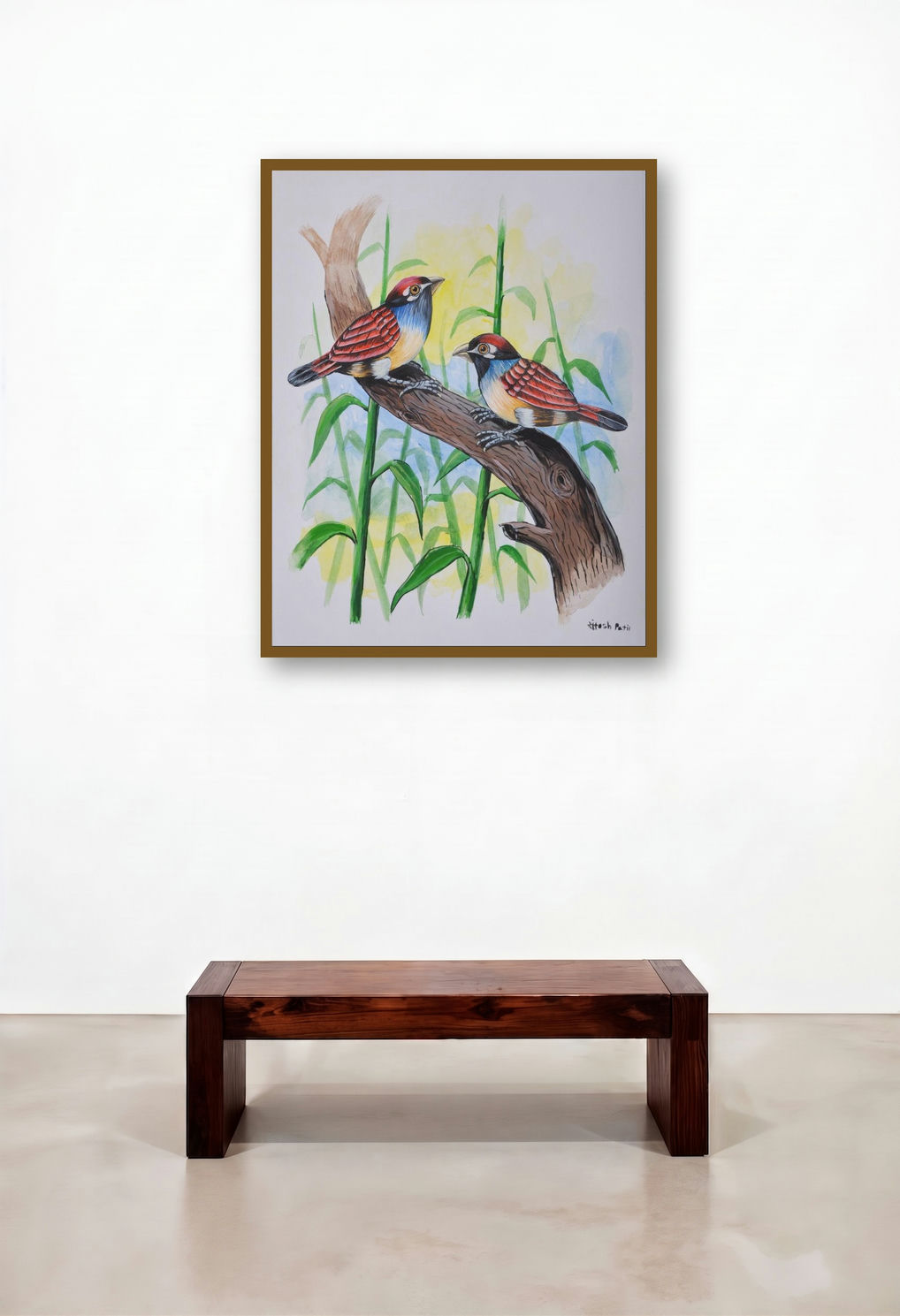 Birds 225 (Colorful Birds)