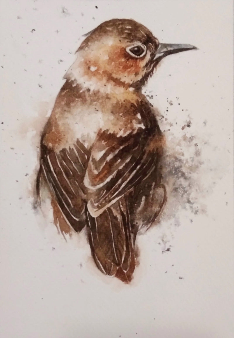 Brown Bird' animals watercolor painting by artist Anjana Sihag, 9x6 inch, on paper