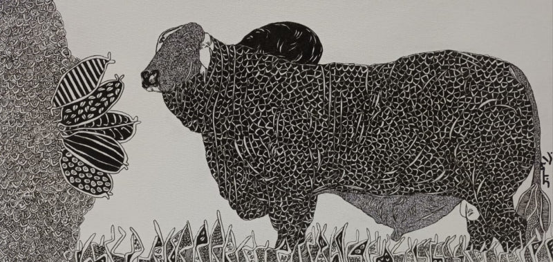 Bull 13' animals pen drawing by artist Rama Krishna V, 12x24 inch, on canvas board