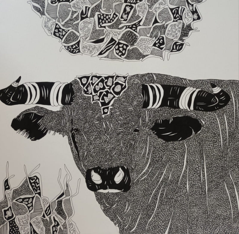 Bull 27' animals pen drawing by artist Rama Krishna V, 14x14 inch, on paper