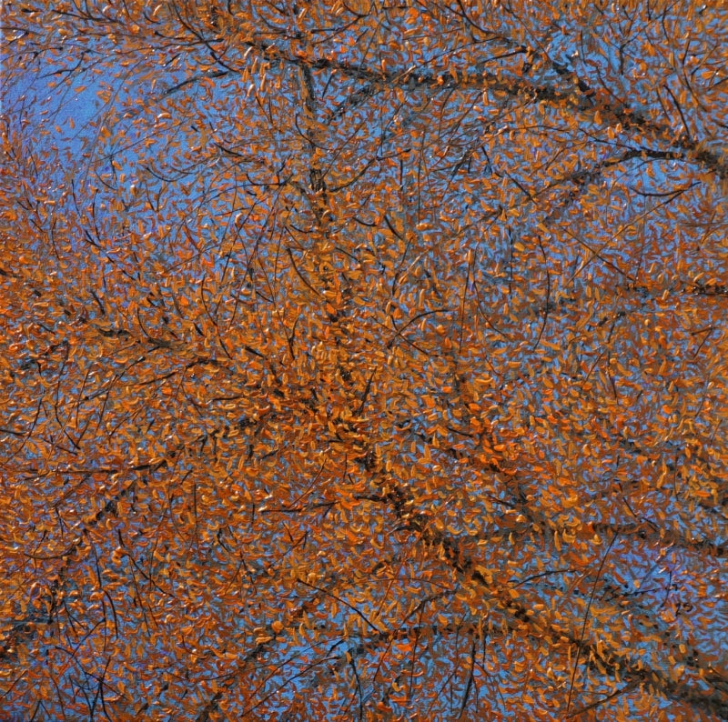 'Chandigarh Summers' nature oil painting by artist Pardeep Singh, 20x20 inch, on canvas