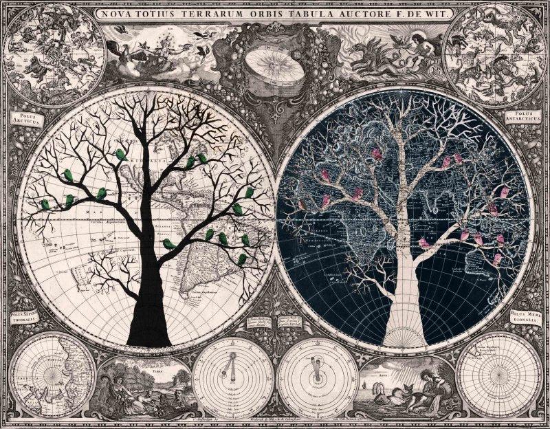 Nature Vector digital art titled 'Chiravit ', 11x15 inches, by artist Sumit Mehndiratta on canvas