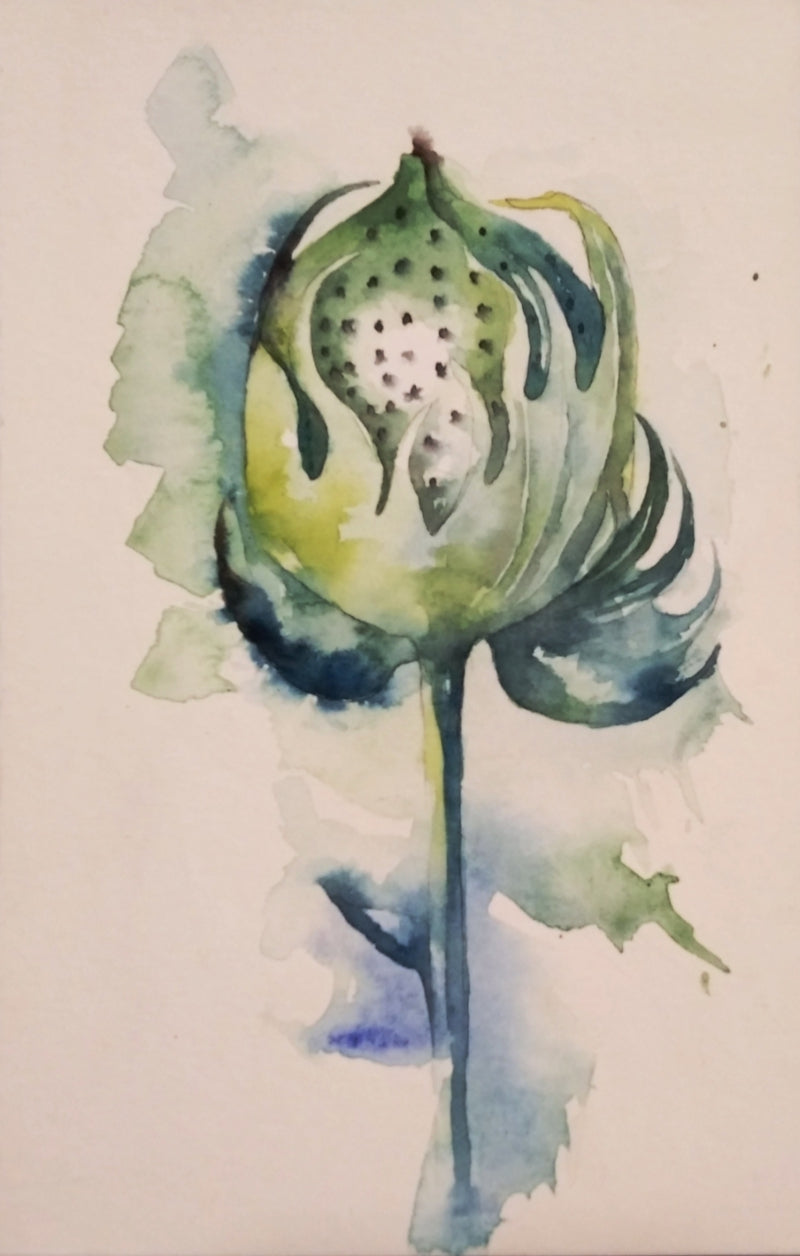 Cotton Bud' nature watercolor painting by artist Anjana Sihag, 9x6 inch, on paper