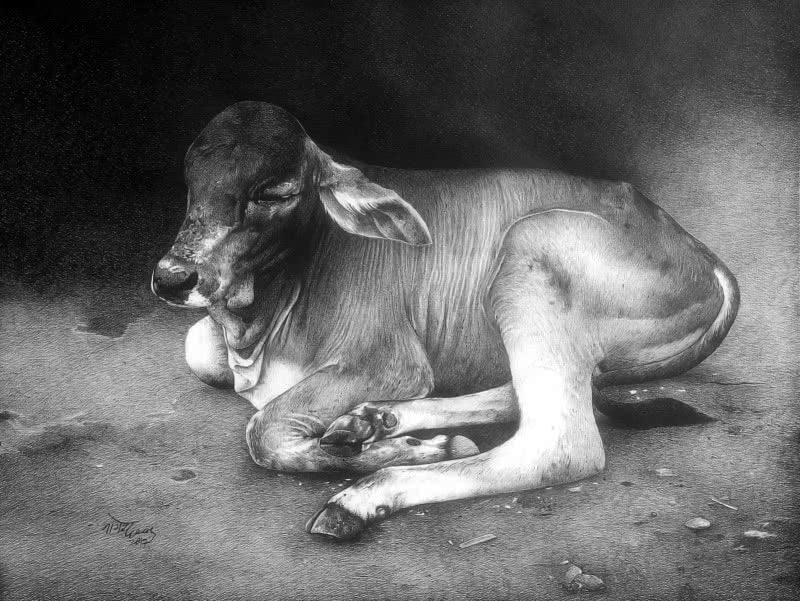 Animals pen drawing titled 'Cow Child', 22x28 inches, by artist Nagesh Devkar on Canson Paper