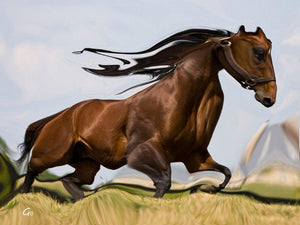 Creative Horse 1 (Equine Majesty) by Gouse Baig, Original Mixed Media Animal Painting on Canvas, Small Horizontal Wall Art