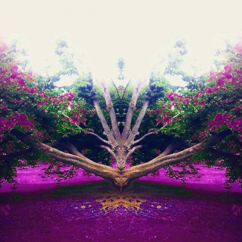 Abstract Photomanipulation digital art titled 'Dracnoid', 11x11 inches, by artist Shantanu Tilak on canvas