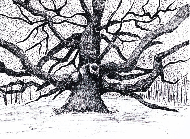 'The Eternal Bough' nature ink drawing by artist Ankit Kushwaha, 6x8 inch, on paper