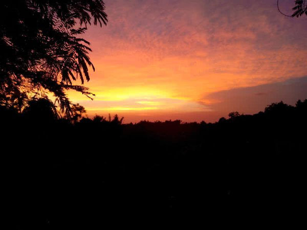 Evening Sunset Photography by Mrinmoy Gogoi | ArtZolo.com