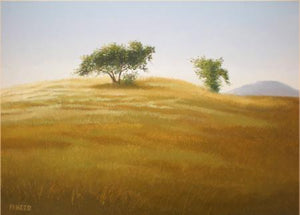 Faraway Tree by Fareed Ahmed, Original Oil Landscape Painting on Canvas Board, Small Horizontal Wall Art