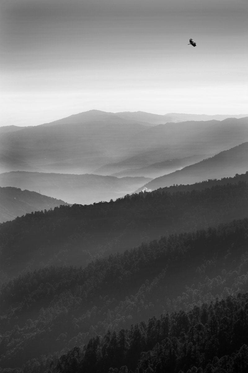 Nature photography titled 'Landscape 38', 17x11 inches, by artist Satyaki Biswas on