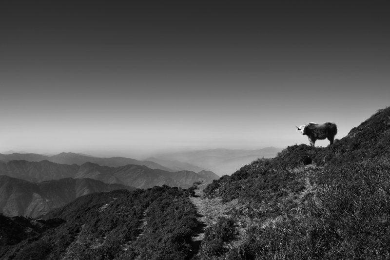 Nature photography titled 'Landscape 39', 11x17 inches, by artist Satyaki Biswas on