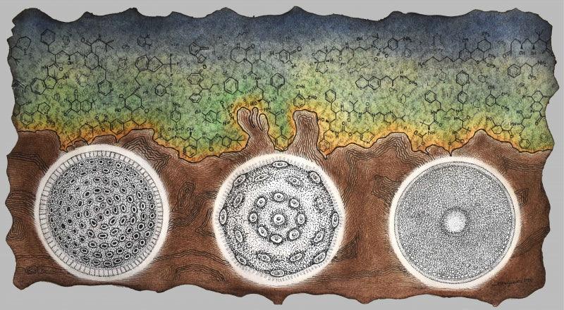 contemporary mixed media painting titled 'Life Of Scientific Nature', 11x20 inches, by artist Bitarka Majumder on Acid Free Paper