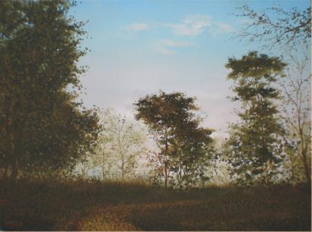 Landscape oil painting titled 'Mountain View I', 18x24 inches, by artist Fareed Ahmed on Canvas