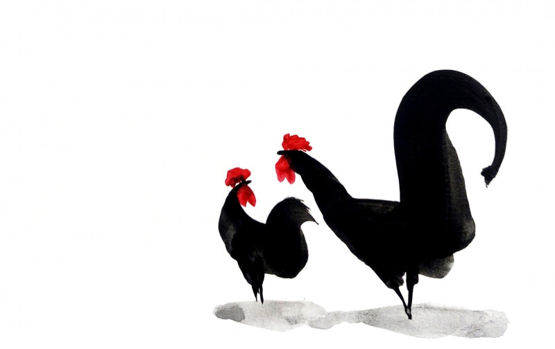 Murga Rooster And Chicken 2' animals ink drawing by artist Ashok Hinge, 8x12 inch, on paper